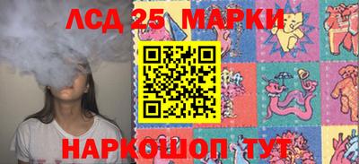 индика Можайск