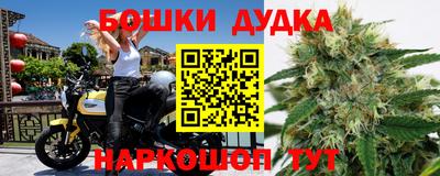 индика Можайск