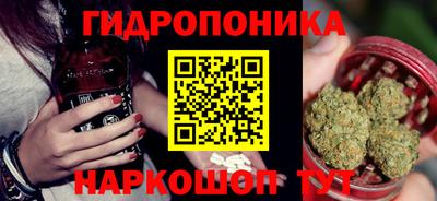 индика Можайск
