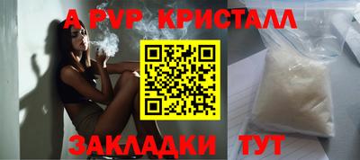 прущие грибы Можга