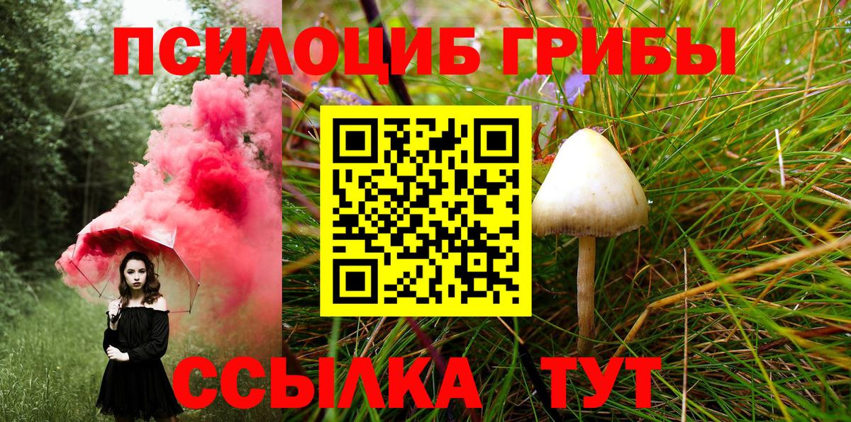 Галлюциногенные грибы Psilocybine cubensis  Вход с VPN  Ивантеевка 